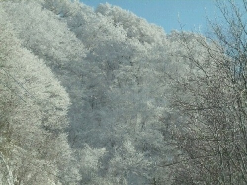 雪景色.JPG