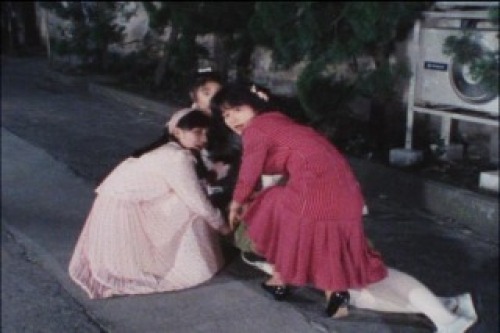 PDVD_177.jpg