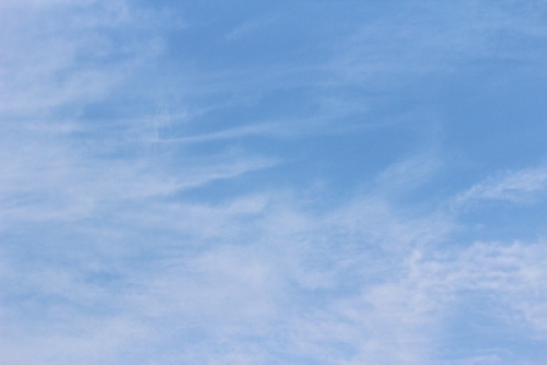 IMG_5824 (400x267).jpg