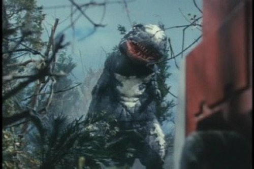 PDVD_004.jpg