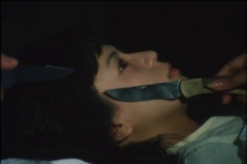 PDVD_047.jpg