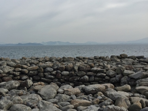 IMG_9254 (640x480).jpg