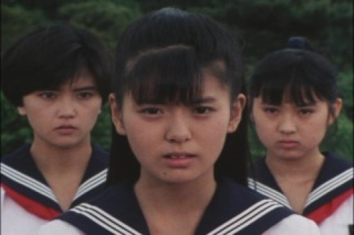 PDVD_011.jpg