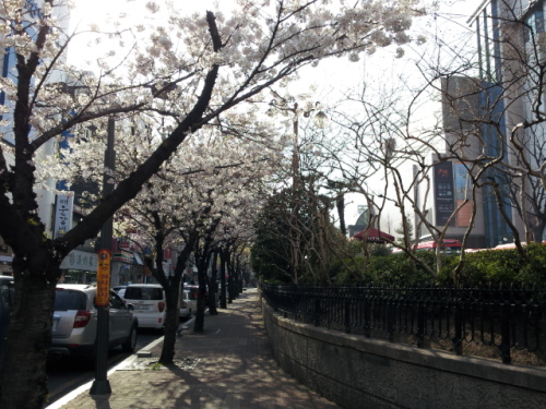 20130325_160941.jpg