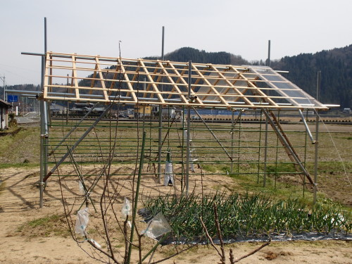 P3290002ブドウの屋根.JPG