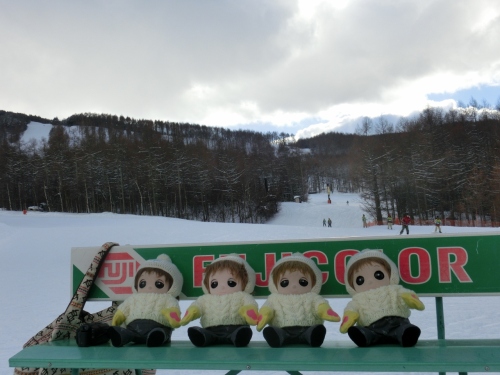 CIMG8886 (1280x959).jpg