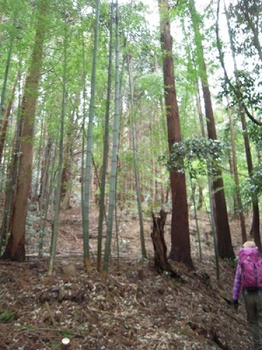 DSCN9904.jpg