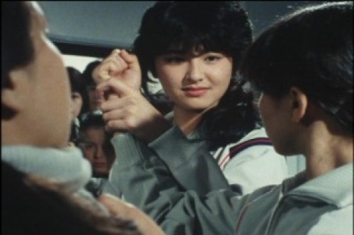 PDVD_030.jpg