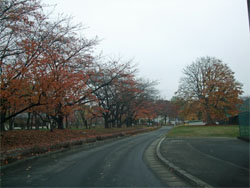霞城公園2.jpg