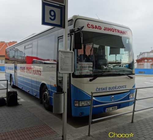 bus9.jpg