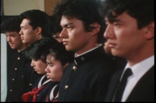 PDVD_101.jpg