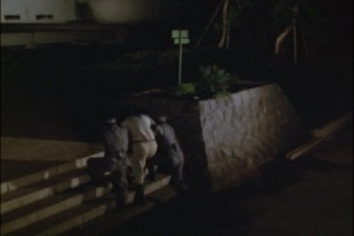 PDVD_002.jpg