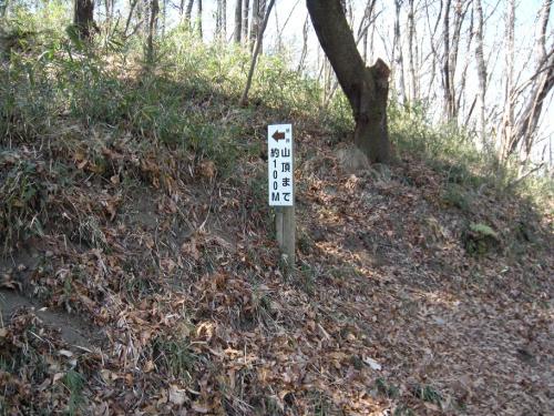 山頂まで100ｍ.JPG