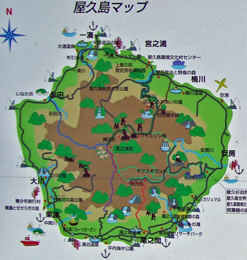 屋久島22.jpg