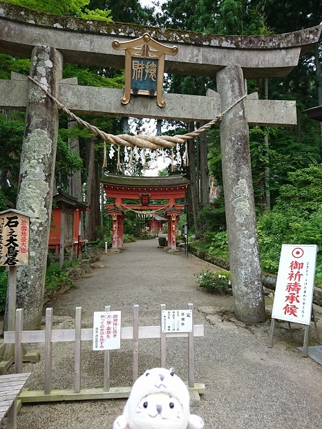 岩手県平泉町 平泉の隠れたパワースポット 達谷毘沙門堂 は圧倒的な存在感のお堂 もっちゃんサイト ちびつこたちと旅をしよう 楽天ブログ