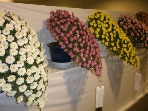 PB020003.JPG