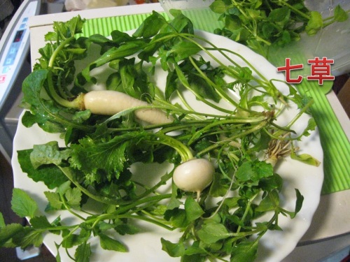 七草.jpg