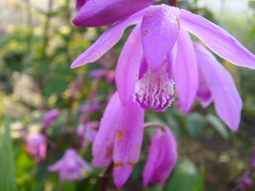 DSC00728_R.JPG