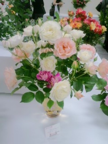 PA0_0004.JPG