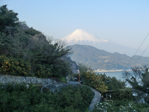 薩?峠から富士山