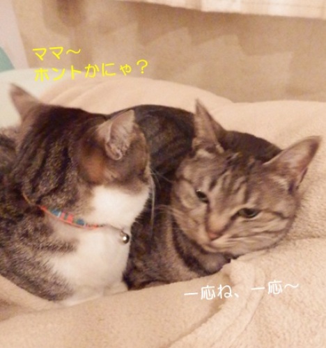 20150121_2.jpg