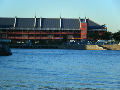 DSCF0382.jpg