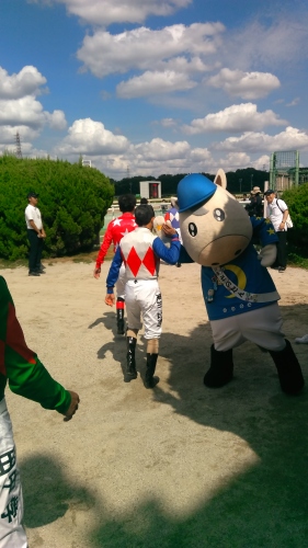 WP_20160907_13_42_11_Pro.jpg