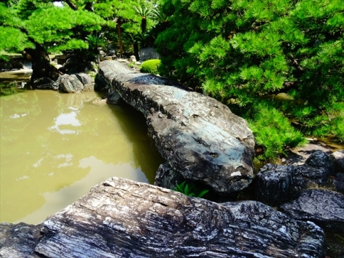 DSC05289_R.JPG