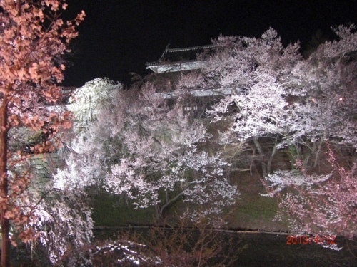 CIMG6765 (640x480).jpg