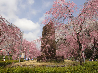 榴岡25.jpg