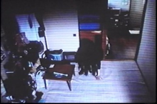 PDVD_030.jpg