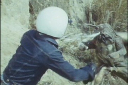 PDVD_029.jpg