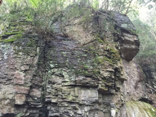 IMG_6723 (640x480).jpg