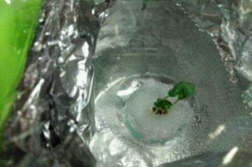 2016-11-25 18-42-40.jpg