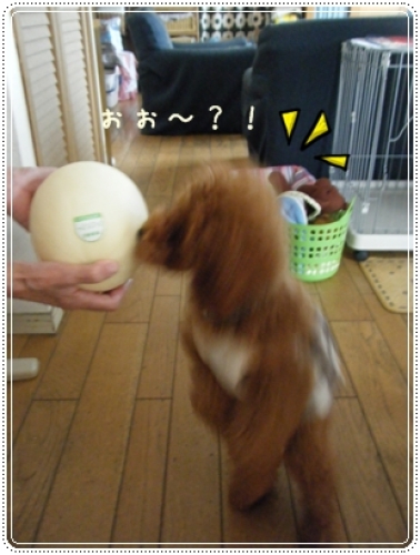 DSCF4124.JPG
