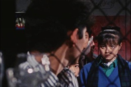 PDVD_158.jpg