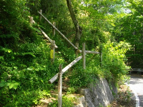 南郷山分岐 (500x375).jpg