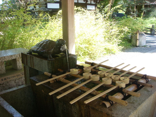 2015100234 243.JPG