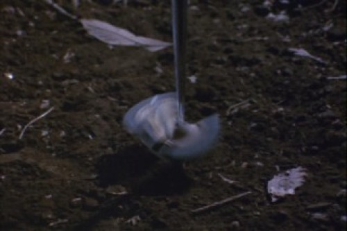 PDVD_012.jpg
