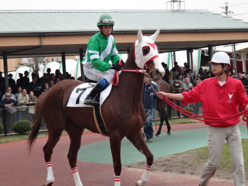 DSC02390.JPG