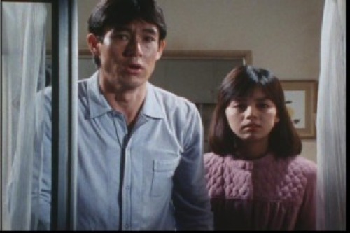 PDVD_011.jpg