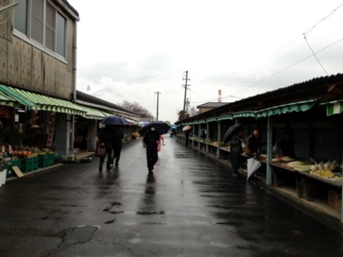 201302160810_2969_iphone.jpg