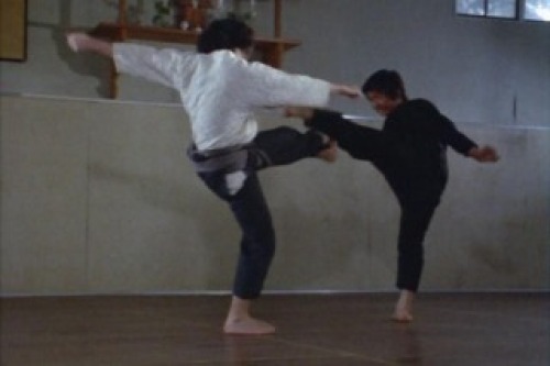 PDVD_045.jpg