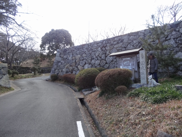 DSC00259.jpg