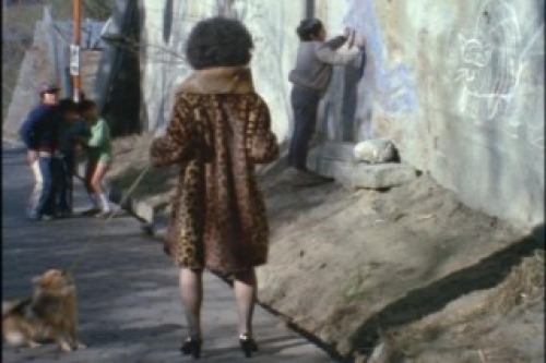 PDVD_008.jpg