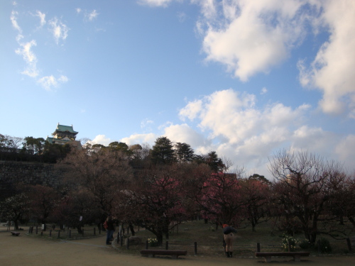 20130216-3.JPG