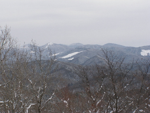 P2170751t.jpg