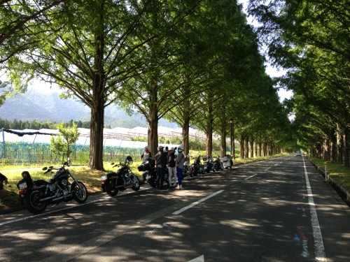 201306162244_4602_iphone.jpg