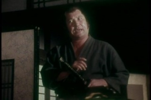 PDVD_011.jpg