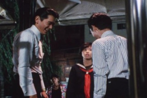 PDVD_014.jpg